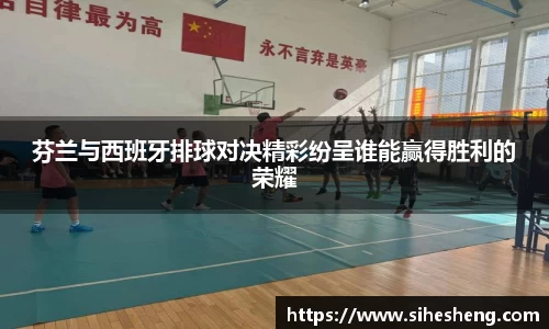 芬兰与西班牙排球对决精彩纷呈谁能赢得胜利的荣耀